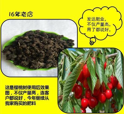 【正定批發(fā)石家莊蔬菜專用雞糞有機(jī)肥 果樹草坪專用膨化顆粒雞糞】價格_廠家_圖片 -