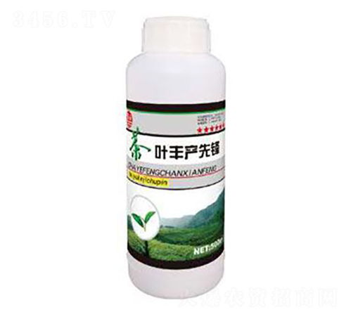 茶葉豐產先鋒 泰玉肥業(yè)